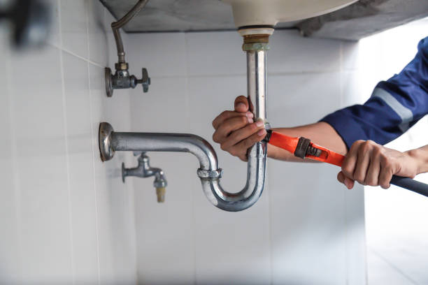 Best Commercial Plumbing Services  in Baldwin, MI