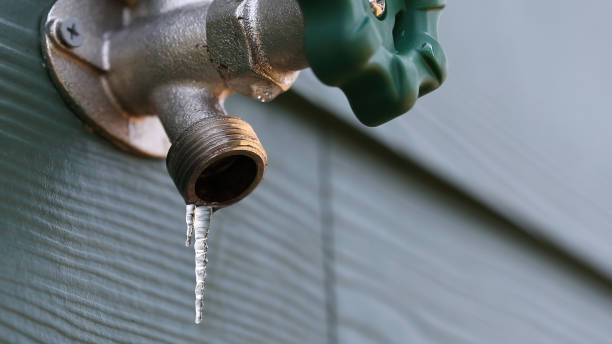 Best Sprinkler Systems  in Baldwin, MI