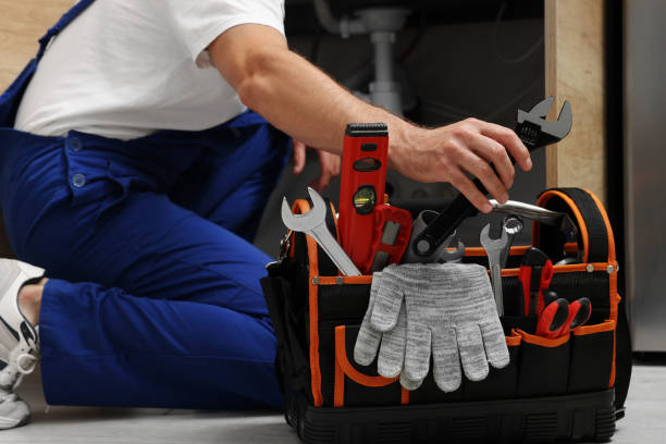Best Residential Plumbing Services  in Baldwin, MI